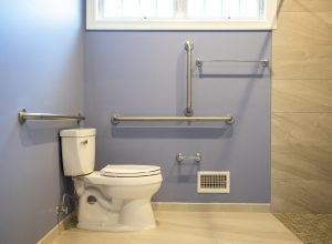 toilet with grab bars